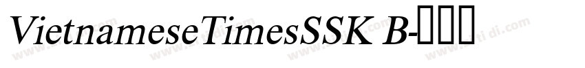 VietnameseTimesSSK B字体转换